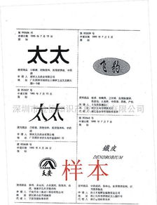 知識產權服務指南 商標、專利、版權注冊全流程及費用解析
